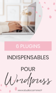 Les plugins WordPress indispensables : l'épingle Pinterest